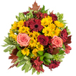 Seen from directly above against a clean white background, this hand-tied autumn bouquet reads like a small harvest in bloom. At its heart are dense clusters of golden-yellow button chrysanthemums, their rounded heads catching a soft, diffuse light and lending a sunny, textured base to the composition. Scattered through that warm field are several flat-faced, deep burgundy gerbera daisies whose dark central discs create a bold focal counterpoint to the chrysanthemums' cheer. Interspersed among them are fully opened roses in saturated crimson and softer coral-pink and peach tones; the roses' layered, velvety petals curl inward and outward in a touchable spiral, offering both drama and tenderness. Fine, star-shaped alstroemeria in cranberry and reddish-brown tuck into the gaps, adding slender petals and delicate streaking that deepen the arrangement's autumnal complexity. A generous framing of glossy broad leaves and some variegated green foliage with creamy edges provides fresh contrast and a crisp, cool undertone, while several reddish-brown maple- or oak-like leaves peek at the edges to underline the seasonal theme. The overall effect is dense, circular, and intentionally abundant-an arrangement that feels both crafted and naturally gathered, as if from a Tufnell Park market stall on a breezy October morning. The bouquet smells faintly sweet with leafy green notes and a whisper of rose perfume; its textures move from the cushiony chrysanthemum heads to the smooth, cool leaves and the velvety rose petals. Suitable for an autumn centrepiece, Thanksgiving table, or a thoughtful neighbourhood gift, this bouquet carries the warm, grateful mood of the season with quiet confidence and florist's care.
