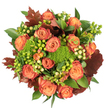 Viewed from directly above on a crisp white backdrop, this autumnal bouquet reads like a small harvest in full glow. At its heart sit numerous fully opened roses in warm peach through coral-orange tones, each bloom turning slightly darker toward the outer petals where a reddish-rust tint forms a soft, leaf-like halo. Between those velvety roses nest clusters of glossy Hypericum berries-some a vivid lime green, others a pale cream-yellow-offering tiny points of light and a playful, almost dewy texture against the petals. Sprigs of green trick dianthus, reminiscent of soft moss or miniature green cushions, are tucked in close, their dense, tactile forms adding an unexpected sculptural softness. Burnished, lobed leaves in deep burgundy and russet thread through the composition like fallen autumn foliage, anchoring the palette with a rustic depth, while broader, shiny green leaves provide a lush, living backdrop that makes the colours sing. The arrangement is tightly composed and circular, the kind of centerpiece that would warm a small dining table or sit invitingly on a mantel under soft afternoon light. There's a subtle woodland scent suggested-earthy green notes from the textured fillers mingling with the faint sweetness of ripe roses and berries-evoking the quiet comfort of a walk through a Tufnell Park lane in late October. This bouquet reads as both sophisticated and homely, a thoughtful seasonal gift or a cosy statement for harvest-time gatherings, celebrating the tactile contrast of velvet petals, smooth berries, and velvety moss-like greens in one harmonious fall display.