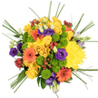 Captured from directly overhead against a clean white background, this bouquet forms a near-perfect circle of vibrant colour, like a miniature garden carefully composed on a florist's workbench in Tufnell Park. At its core, abundant yellow roses and generously petalled yellow chrysanthemums cluster tightly together, their overlapping petals creating a glowing, sunlit heart that feels warm and inviting. Radiating out around them, bright orange gerbera daisies with dark central disks add striking contrast, each bloom like a burst of colour echoing the cheerful shopfronts along Fortess Road. Nestled between the larger flowers, neat buttons of lime green chrysanthemums punctuate the design with fresh, rounded shapes and a crisp, grassy tone, bringing energy and a youthful touch. Deeper within the bouquet, velvety purple lisianthus blooms and buds provide a rich, cool accent, their layered petals folding softly like silk ribbons. Scattered throughout are small clusters of glossy red hypericum berries, smooth and bead-like, adding flashes of red that hint at late-summer hedgerows. Long, slender blades of bear grass sweep gracefully outwards and over the arrangement, lending a sense of light movement and soft structure, as though tracing invisible arcs in the air. The overall mood is joyful and uplifting, a bright, modern arrangement that would sit beautifully on a kitchen table in a Tufnell Park townhouse or bring a splash of colour to an office near Archway, perfect for birthdays, congratulations, or any moment that calls for a generous gesture of happiness.