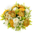 On a pristine white background, a lush autumn bouquet appears almost to float, its colours and textures vividly defined. At the centre, generous chrysanthemums unfurl layer upon layer of petals in warm ochre, golden yellow, and deep bronze, like captured sunsets over Tufnell Park's rooftops. Some of these blooms form perfectly rounded, ruffled spheres, while others echo the distinctive, brain-like contours of cockscomb or cremon varieties, with tightly folded mustard and chestnut-toned petals that lend the piece a sculptural quality. Scattered among these bold flowers are creamy white roses, each bud gently opening in a serene spiral, their satin-soft petals bringing a sense of calm elegance to the richer hues around them. Between the larger blooms, numerous stems of tiny, white daisy-like flowers with bright yellow centres are tucked in, adding lightness, playfulness, and a suggestion of wildflower meadows. Delicate sprays of lime-green solidago and fine foliage thread through the bouquet, introducing freshness and an airy texture, like a soft breeze passing along Tufnell Park's leafy side streets. The arrangement has a compact, rounded silhouette, densely filled yet carefully balanced so that every element can be appreciated. The lighting is even and bright, enhancing the contrast between the warm golds, cool whites, and vivid greens, while the simple background ensures there are no distractions from the flowers themselves. This bouquet feels like a comforting embrace, ideal for sending support, gratitude, or congratulations to someone living near Archway or Gospel Oak, and it beautifully showcases the artistry and seasonal sensitivity of a dedicated local Tufnell Park florist.