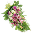 An elegant funeral spray, photographed against a clean white background, sweeps diagonally across the frame from its tightly bound stems at the top left to a gentle point at the bottom right, forming a graceful teardrop silhouette. The focal blooms are dramatic Stargazer lilies, their wide, recurved petals saturated with fuchsia and deep pink tones, highlighted by bright white edges and fine burgundy speckles. Some lilies are fully open, while others remain in bud, washed in green and soft pink, adding a sense of quiet anticipation. Interspersed among them are bold magenta gerbera daisies that bring a vibrant, uplifting hue, contrasted by serene white roses and softly ruffled white carnations that speak of purity, reverence, and remembrance. Smaller white daisy-like filler flowers are threaded throughout, giving the design a light, intricate texture. The blooms are anchored by an abundance of greenery: broad, dark green leaves create structure and depth, feathery fern fronds soften the outline, and long, slender leaves trail outward and downward, reinforcing the elongated style typical of sympathy sheaves used in Tufnell Park services. Soft, even lighting catches the glossy surfaces of the lilies and the velvety carnation petals, making the arrangement feel fresh and full of life, as if it has just been completed in a local workshop off Tufnell Park Road. This thoughtfully arranged spray offers a gentle yet striking way to express condolences, suitable for funerals, memorials, or as a respectful tribute delivered to grieving families across the Tufnell Park neighbourhood.
