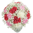 This luxurious bouquet, arranged by expert florists from Tufnell Park, captures the essence of joy and connection with its mix of velvety red, pastel pink, and crisp white carnations. Densely packed in a classical dome silhouette, every carnation blooms in layered ruffles, their rich textures glowing softly under the neutral light of a white backdrop-much like the inviting interiors of a Tufnell Park café. Through the arrangement, delicate tufts of white baby's breath weave in and out, imparting a light, cloudlike softness that lifts the deeper and bolder carnation hues. The rounded glass vase peeks out at the base, its clarity reflecting the bouquet's freshness and the careful touch of the hands that made it. This bouquet radiates a gentle warmth, ideal for moments of celebration-be it an anniversary, birthday, or spontaneous delivery to a home near Tufnell Park station. The mingled scent of spicy carnations and airy gypsophila lingers, creating a mood of hope and heartfelt appreciation. Every stem and petal demonstrates the passion and precision of local floral design, offering a timeless symbol of affection that brightens any space across Tufnell Park's cherished community.