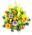 A richly mounded bouquet photographed against a crisp white background, the composition radiates warmth and layered texture. Bright yellow Asiatic lilies form the visual anchor, some petals fully unfurled to reveal freckled throats while others remain elegant greenish-yellow buds reaching upward and lending measured verticality. Interwoven among them are cheerful orange Gerbera daisies, their flat, sunburst petals and darker centres creating bold punctuations of colour. Soft lavender-purple roses nestle deeper in the mound, their spiralled petals offering a cool, romantic counterpoint to the warmer tones and a gentle, powdery scent that seems to linger even in the still image. Lime-green button chrysanthemums or cushion mums fill the hollows with ruffled, almost moss-like texture, and clusters of small spherical orange and golden-yellow accent blooms-reminiscent of Craspedia or spiky globe-florets-add playful pops and tactile contrast. Blue-grey sea thistles (Eryngium) emerge near the sides and lower edges, their spiky, architectural bracts introducing a cool, sculptural note against the dense warmth. A variety of glossy and matte foliage-broad lily leaves and smaller filler greens-frames and supports the flowers, giving the arrangement depth and a natural, garden-fresh feeling. The lighting is soft and even, emphasising the bouquet's lush density and the subtle sheen on the lily petals. This arrangement suggests celebration, comfort, and thoughtful greeting; prepared with neighbourhood care, it would brighten a table at a Tufnell Park home, make a lively anniversary gift, or quietly uplift a bedside in times of consolation, delivered fresh from a local florist familiar with the area's streets and markets.
