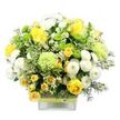 A bright, cheerful bouquet in a clear, modern square vase is shown against a plain white background, its colours and textures arranged with the precision of an experienced local florist. The arrangement is dominated by rich yellow roses, some fully unfurled into soft, layered blooms and others still in bud, creating a lively mix of stages that makes the display feel freshly gathered. Among them are clusters of petite yellow spray roses, each stem carrying multiple tiny blossoms that cluster like sunlit confetti. Nestled between the roses, white pompom chrysanthemums form rounded pillows of densely packed petals, giving the bouquet a soft, plush dimension. Lime green button chrysanthemums add vivid, almost citrusy pops of colour, their small, spherical heads dotted evenly through the design. Alongside them, larger pale green blooms-frilly and textured like decorative green carnations or specialty mums-add volume and a cool, refreshing undertone to the colour palette. The flowers are surrounded by a generous halo of greenery, including broad leaves marked with creamy white edges and more delicate, deeper green sprigs that thread through the arrangement, creating a sense of movement. Tiny, star-shaped white filler flowers are scattered here and there, giving the impression of lightness and air. The clear glass vase reveals straight, well-trimmed stems and is wrapped around the middle with a rustic band that resembles woven bark or natural fibre, topped with a bright lime green ribbon that mirrors the button mums above. The overall mood is joyful, fresh, and quietly celebratory-an arrangement that would look perfectly at home brightening a terrace house near Tufnell Park Gardens, ideal for birthdays, congratulations, or a thoughtful same-day delivery to lift someone's spirits in North London.