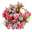 This image shows a richly detailed, top-down view of a round bouquet, so full that the flowers form a complete, colourful disc against a pure white backdrop. Dominating the centre are roses in shades of deep fuchsia and gentle blush pink, some edged in creamy tones, their layered petals opening fully to create a sense of romance and luxury. These are closely surrounded by ruffled peach-pink carnations, whose soft, feathery edges lend a tactile, almost cushion-like quality, inviting you to imagine their subtle, sweet scent. Threaded between the larger blooms are smaller, daisy-like chrysanthemums in lavender and soft purple, each with a striking lime-green centre that injects little sparks of brightness throughout the arrangement. Cream and off-white blossoms tuck in around them, adding moments of lightness and clarity that balance the richer, more saturated hues. The flowers are cradled in a carefully chosen mix of foliage: round eucalyptus leaves in a cool, silvery-green sit alongside deeper green leaves that provide weight and structure, creating a layered, natural frame. Delicate, reddish-pink variegated leaves peek out here and there, introducing a warm accent that hints at early autumn tones, like those seen along the streets and gardens near Tufnell Park. The overall mood is elegant yet joyful, a bouquet that feels as if it has been freshly gathered and expertly refined in a local studio. It would suit a bright kitchen overlooking Dartmouth Park Hill or a cosy living room in a Tufnell Park terrace, perfect for birthdays, thank-yous, or simply bringing a sense of gentle celebration into an everyday moment.