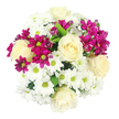 A circular, hand-tied bouquet is captured from above, filling the image with harmonious whites and vivid magentas set against a pure white backdrop that lets every detail stand out. Cream-white roses, with their softly spiralling petals and velvety texture, rise as focal blooms, giving the arrangement a refined, almost romantic character. Encircling and weaving between them, generous clusters of white daisy-style chrysanthemums build a cushion of brightness, each flower radiating fine, tidy petals around a fresh yellow-green centre that adds a cheerful spark. Threaded through this calm, neutral base, rich fuchsia spray chrysanthemums introduce confident colour-some small heads are fully opened into intricate, many-petalled rosettes, while others remain closed buds, offering a sense of growth and unfolding life. Here and there, carefully placed deep green leaves peek from beneath the blossoms, adding contrast and echoing the natural greenery you might see in local gardens around Tufnell Park and along Lady Somerset Road. The lighting is clean and even, almost like daylight streaming through a studio window, emphasising the crispness of the whites and the depth of the magenta tones without any distractions. The overall impression is one of joyful elegance, making this bouquet suitable for an easygoing celebration, a get-well wish sent to a flat near Tufnell Park station, or a simple gesture to brighten a quiet weekend at home. Every flower seems thoughtfully positioned, suggesting the practiced hands of a local florist who understands how to blend classic roses with playful daisies and bold chrysanthemums into a design that feels both comforting and uplifting.
