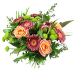 Set against a crisp white background, this richly textured hand-tied bouquet glows with warm, welcoming colour, like a burst of sunshine arriving at a Tufnell Park doorstep. In the centre, fully opened roses in shades of peach and apricot curl outward in soft layers, their velvety petals forming rounded, romantic blooms that immediately draw the eye. Around them, gerbera daisies in deep magenta and burgundy tones radiate in broad disks, each bloom centred with a bright yellow-orange eye that brings a joyful, almost playful energy. Interspersed through the arrangement are neat clusters of lime-green button chrysanthemums, their small, spherical heads and fine petals creating a lively texture that contrasts beautifully with the smoother roses and gerberas. Near the upper section, a single protea stands proudly, its tall, conical form and reddish-brown, maroon-tipped bracts adding an exotic, sculptural element that anchors the entire design. The bouquet is generously framed with foliage: glossy, deep-green leaves, slender blades, and silvery eucalyptus sprigs that weave in and out, giving a sense of softness, movement, and woodland freshness. All the stems are gathered tightly at the base in a hand-tied style, ready to be placed into a favourite vase on a table near Tufnell Park Station or in a flat along Fortess Road. The composition feels both contemporary and timeless, an ideal floral gift for birthdays, new-home celebrations, or a thoughtful same-day delivery to brighten a living space anywhere around Tufnell Park.