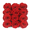 Seen from directly above, this elegant arrangement showcases twelve red roses nestled in a perfectly ordered 3x4 grid, their blooms so close that the petals seem to weave into one another. Each rose is fully open yet immaculately shaped, the velvety petals layering in tight spirals that create a sense of depth and softness, like miniature crimson whirlpools drawing the gaze towards their centres. The colour is a deep, consistent ruby red, shifting only where gentle light grazes the petal edges, leaving delicate highlights that contrast with the darker folds within. The roses sit in a dark, square box whose slender rim is just visible along the bottom edge, hinting at a contemporary gift presentation without distracting from the flowers themselves. The composition fills the entire frame, so all attention rests on the rhythmic repetition of blooms, evoking a strong feeling of passion, intimacy, and considered design. These roses look like high-grade, long-lasting stems or preserved flowers, selected for their flawless condition and suitability for marking significant moments. It is easy to imagine this box being opened in a flat off Tufnell Park Road, the rich red blooms greeting the recipient after a discreet same-day delivery from a local florist. The mood is romantic and slightly dramatic, perfect for Valentine's Day, a milestone anniversary, or a heartfelt message of enduring love shared quietly at home while the bustle of north London continues just beyond the window.