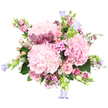 This image shows a lavish, rounded bouquet bathed in soft light, placed against a clean white background so every petal and leaf stands out clearly. At the core are three generous spheres of pale pink hydrangea, their tightly packed, ruffled petals creating a plush, cushiony texture that immediately draws the eye. Nestled around these central blooms are blush pink roses, some fully opened to reveal layered spirals of velvety petals, others still in bud, their tips gently blushing as if just beginning to wake. Dancing through the arrangement are fine clusters of deep magenta and fuchsia filler blooms, likely waxflower, their tiny star-shaped flowers and slender stems adding a sense of motion and informal charm, like blossoms gathered from a garden near Tufnell Park's quiet residential streets. Smaller, five-petal pink flowers, similar to phlox, weave between the larger flowers, helping to blend the soft pastels with the more vivid tones. From the edges of the bouquet, several stems of bell-shaped flowers in a muted lavender or periwinkle blue, probably campanulas, arc outward, their delicate cups lending a whimsical, bell-like rhythm to the silhouette. Fresh green foliage peeks out here and there, from wide hydrangea leaves to fine, lighter greenery, grounding the arrangement in a natural, just-picked freshness. The bouquet feels both composed and relaxed, like a thoughtful gift carried home from a favourite Tufnell Park florist after a slow walk along Tufnell Park Road. It radiates tenderness and celebration, perfect for marking an engagement, welcoming a new baby, or simply brightening a friend's flat on a quiet Sunday afternoon.