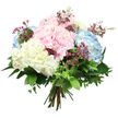 A carefully crafted hydrangea bouquet is captured here in front of a pure white backdrop, every element arranged to highlight soft colour and generous texture. At the heart of the design sit large, rounded hydrangea blooms, their many small florets overlapping like delicate scales to form plush, cloud-like spheres. The colour palette is soothing and romantic: blush pink hydrangeas mingle with cool, airy sky blue and gentle creamy white, each hue transitioning smoothly into the next so the eye moves easily around the arrangement. Threaded delicately among these full heads are slim stems of tiny magenta or deep fuchsia filler flowers, similar to waxflowers, whose miniature blossoms offer bright pinpoints of colour and lend a light, lacy quality to the spaces between the larger blooms. Encircling everything is a generous collar of fresh foliage, with broad, glossy dark green leaves providing structure and contrast, while more slender, softer leaves introduce a slightly wilder, garden-inspired feel, as if the bouquet had been gathered from borders not far from Tufnell Park Station. The stems are drawn together in a neat bundle and tied, forming a tidy, hand-tied base that underscores the bouquet's artisan character and readiness for a vase in a local Tufnell Park living room. Soft, even lighting reveals gentle shadows and subtle petal veining without distraction, creating a tranquil, uplifting mood. The overall effect is of a fresh, thoughtfully composed gift-ideal for a baby arrival, a quiet anniversary, or simply sending a moment of calm, pastel beauty to someone close by.