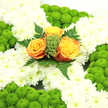 A carefully arranged funeral cross embodies the spirit of the Irish tricolour using flowers instead of fabric, creating a dignified tribute that feels at home in a Tufnell Park church or local chapel. The cross itself is fully padded with lush white chrysanthemums, each bloom soft and layered, forming a thick, cushion-like base that covers every curve of the design. The white is interrupted and enriched by rounded mounds of lime-green button chrysanthemums placed thoughtfully around the edges and at the arms, their compact, textured heads resembling fresh moss or dew-kissed grass, adding dimension and a sense of living freshness. At the intersection where the arms meet, three central roses become the heart of the tribute, their petals unfolding in a warm palette from deep, ember-like orange through soft apricot to golden yellow-orange. These roses sit within a delicate ring of bright green berries or filler and arching fern leaves, which extend slightly beyond the petals, framing them like a living halo and adding depth to the composition. Gentle natural light falls across the flowers, catching the subtle shifts in colour and the fine structure of each petal. This cross feels particularly suited to commemorating Irish heritage at a funeral or memorial service in Tufnell Park, perhaps for a family who walks regularly through nearby Tufnell Park itself or along Junction Road. The overall effect is one of respectful remembrance, warmth, and hope, crafted with the quiet expertise of a local florist who understands how to express identity and affection through blooms.