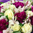 This image shows a lush, tightly gathered bouquet captured in close-up, as if resting on a table in a Tufnell Park townhouse just off Brecknock Road. At the heart of the design, velvety white roses with softly spiralled centres open into rounded blooms, some revealing a whisper of pale yellow deep within, lending a creamy glow. Surrounding and weaving between them are rich magenta and purple carnations, their layered, frilled petals forming soft clouds of colour that provide a striking contrast to the calm neutrality of the roses. Interspersed throughout are graceful white alstroemeria, their elongated petals stretching outward, each lightly brushed with fine raspberries and burgundy streaks that give the bouquet a painterly, almost whimsical feeling. The flowers are supported by smooth, deep-green foliage, the leaves curving naturally around and between the blossoms to give a sense of lush fullness without feeling heavy. A muted lavender wrapping hugs the base and edges of the bouquet, visible around the top and sides of the frame, complementing the purple carnations and adding a gentle, contemporary finish. The lighting is soft and natural, enhancing the subtle differences in tone between ivory, cream, and berry shades, and allowing the viewer to appreciate the intricate details of each petal and leaf. The arrangement conveys a sense of quiet joy and sincere intention, making it a versatile choice for birthdays, thank-you gifts, or simple gestures of kindness delivered to friends, neighbours, or loved ones around Tufnell Park.