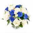 A sophisticated blue and white condolence bouquet rests in a clear glass vase, viewed from a softly elevated angle so that its full, dome-shaped form stands out against a plain white background, much as it might appear on a polished table in a Tufnell Park sitting room. The arrangement is generously filled with roses, carefully clustered to create a sense of fullness and intention. Deep royal blue roses, their velvety petals rich and saturated, are dotted throughout the bouquet, acting as calm focal points reminiscent of clear evening skies above Tufnell Park Fields. Surrounding them, creamy white and ivory roses open in broad, layered spirals, their gentle tones suggesting purity, remembrance, and quiet support. Narrow stems of white freesia weave through the roses, their delicate, trumpet-shaped blossoms bringing a lighter texture and the impression of a soft, fresh fragrance that feels both comforting and uplifting. Fine sprays of white gypsophila form a delicate mist between the larger flowers, softening edges and enhancing the impression of a full, cloud-like display. Around the base, dark green foliage emerges just enough to frame and anchor the blooms, adding natural depth without weighing down the airy design. The clear cylindrical vase shows the carefully aligned stems resting in a small pool of clean water, its ribbed base catching subtle reflections of light. Calm, elegant, and composed, this blue and white arrangement could have been prepared by a caring Tufnell Park florist for a funeral, memorial gathering, or as a thoughtful sympathy gift, offering a visual message of peace, loyalty, and lasting love.