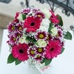 This lush hand-tied bouquet is a local Tufnell Park treasure-a symphony of colour and emotion celebrating the area's vibrant spirit. At its heart, dazzling hot pink Gerbera daisies burst forth, their decadent, sprawling petals immediately capturing attention, reminiscent of summer afternoons in Tufnell Park's garden squares. Peppered throughout, two-tone chrysanthemums lend a contemporary twist, with petals gracefully transitioning from deep royal purple to snowy white, finished by radiant green centres that gleam like tiny jewels. Pillowy cream roses nestle softly in the ensemble, their subtle spirals adding a note of timeless elegance and gentle fragrance. Babys breath, with its delicate frosted clusters, weaves through the display, lightening the dense arrangement and giving each corner a feathery softness. The bouquet's base is anchored by glossy dark foliage, which sets off the brighter blooms with cool vibrance. Arranged on a pristine white table, every flower and leaf seems to glow with freshness under soft, natural light, the blurred hint of wrought iron in the background evoking Tufnell Park's characteristic homes. Whether gifted to spark joy at a family birthday in a Dartmouth Park flat or simply to lift a friend's week, this bouquet channels pure happiness and neighbourly warmth, a perfect offering from your favourite Tufnell Park florist.