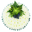 Viewed from directly above, this circular floral cushion looks like a perfectly formed white island of flowers, thoughtfully arranged for a funeral or memorial gathering in the Tufnell Park area. The base is entirely composed of snugly packed white spray chrysanthemums, so dense that the blossoms touch petal to petal, giving the impression of a single, continuous surface. Each flower is fresh and full, with a neat halo of petals surrounding a tiny central eye shaded in pale yellow-green, adding a delicate hint of life and warmth to the otherwise calm, snowy palette. Along the outer edge, an emerald satin ribbon has been expertly folded into a series of soft pleats, wrapping the tribute in a smart, tailored frame that catches the light with a gentle sheen. Near the top of the cushion lies a carefully staged focal arrangement: a vivid lime-green spider chrysanthemum stretches out its thin, curling petals like graceful tendrils, creating an almost starburst effect against the white background. Around it, clusters of bright green Hypericum berries, button-like green chrysanthemums, glossy dark leaves, and airy fern fronds intertwine, offering different shapes and textures that draw the eye inward. Nestled amongst this greenery are two spiky Scottish thistles in a dusty blue-violet hue, their round, bristling heads standing out in both colour and structure, softly suggesting Scottish heritage or a personal emblem cherished by the family. The overall mood of the piece is composed, reverent, and gently hopeful, the sort of hand-made floral tribute chosen to rest on a coffin or accompany a graveside service in Tufnell Park, Kentish Town, or surrounding North London neighbourhoods, providing a quiet, floral expression of love and farewell.