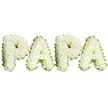 A tender, dignified funeral tribute spelling out the name PAPA in four large, uppercase letters, each letter built from dense clusters of pristine white spray chrysanthemums. Set against a clean white background, the flowers create a soft, pillowy surface-ruffled petals packed closely together to form slightly domed letterforms that invite the eye to linger. Along the edges, a narrow band of pale lime-green ribbon or pleated foliage traces each character, adding a cool, fresh outline that crisply defines the shapes and lends a quiet lift to the otherwise monochrome palette. The overall effect is one of calm restraint: white for purity and peace, green for gentle renewal. As a professional florist who often prepares sympathy pieces for services at local chapels and crematoria around Tufnell Park and nearby Highgate, I like to choose sprays with a subtle, clean scent that won't overpower a quiet room-just enough to remind mourners of familiar gardens and early-morning walks along Tufnell Park Road. The arrangement sits horizontally, balanced and measured, the letters aligned with even spacing so the message reads clearly from a distance at a wake or committal. This composition is intended for a beloved father or grandfather: intimate in its spelling yet formal in its presentation, conveying respect, steady love, and a calm farewell. It is the kind of memorial floral piece families request when they want words themselves to become part of the landscape of remembrance, a tactile emblem of grief and enduring affection in our local community.