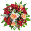 A hand-crafted bouquet, reminiscent of the vibrant spirit found among the independent shops and verdant parks of Tufnell Park, unfolds in a lush tapestry of color and texture. From the top view, the flowers appear snugly choreographed into a rounded, harmonious dome, their vivid hues set aglow against a pristine white background. At the center, the largest roses unfurl with velvety softness-apricot and peach with pink-kissed edges, radiating gentle warmth. Deep red roses, compact and mysterious, add a note of passion, mirroring the quiet sophistication of neighborhood streets on a summer evening. Exuberant clusters of red spray chrysanthemums, with their countless small petals cupping fresh green-yellow centers, deliver joyful energy and a festive mood, interspersed with breezy tufts of tiny white gypsophila that recall light Tufnell Park cloud cover. The verdant artistry of this bouquet is framed by broad, dark green leaves lined in reflective gloss, the cool powder of eucalyptus, and the dramatic, sculpted folds of decorative leaves-perhaps ti or even young protea buds. Each layer feels tactile: crisp, smooth, and aromatic, all at once. Subtle daylight dances along each petal and leaf, enlivening the hues and textures. With every element, the bouquet expresses celebration, affection, and the unmistakable freshness that Flowers Tufnell Park is known for, ideal for bringing a sense of joyful occasion to any local doorstep or heartfelt gathering.